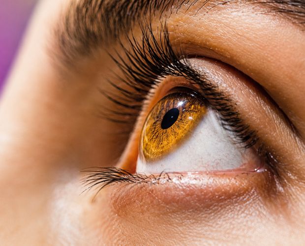 Retinal health close-up at The SEE Clinic